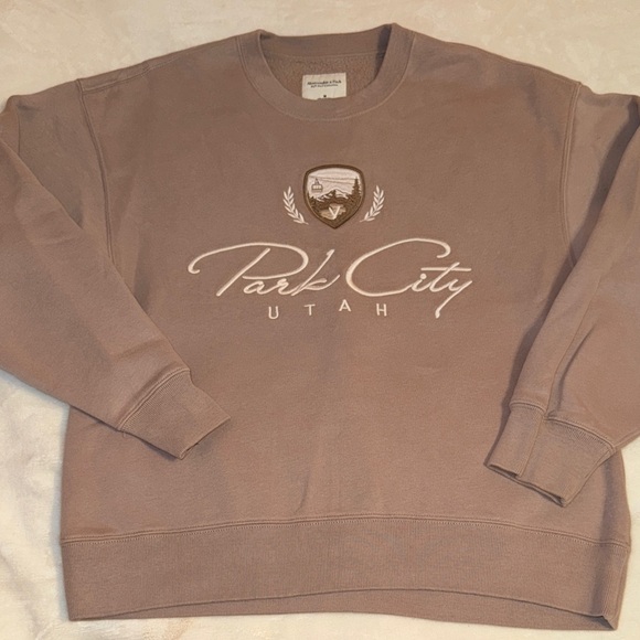 Abercrombie & Fitch Brown Park City Utah Sweatshirt - Picture 1 of 4